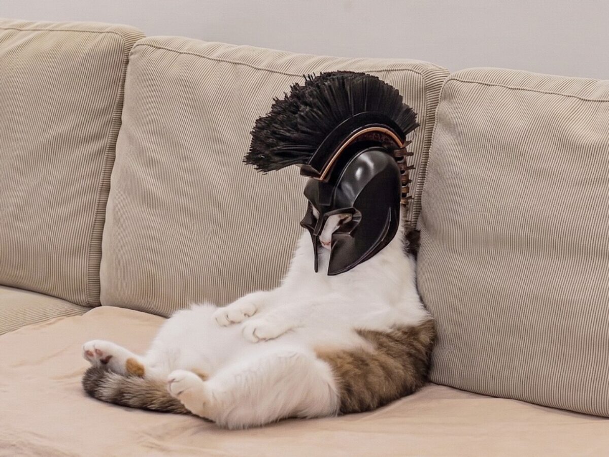 3Dペンで猫にオデュッセイアの兜を作ってあげてみた - ネタもり